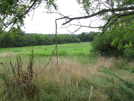 North Bend Plantation archaeology