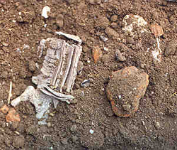 Annapolis Print Shop artifact, available on Archaeology in Annapolis web site