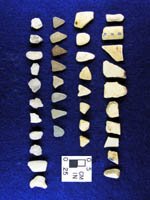 artifacts from Loudoun, Virginia site