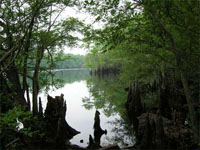 Little Pee Dee River, South Carolina