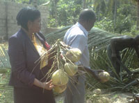 Dr. Simpson and a colleague collect ingredients