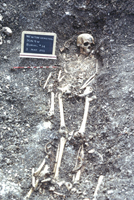 Figure 3. Burial, Newton Cemetery. Coffin handles are visible by the skull, right arm, and lower legs.