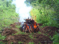 Charcoal preparation in a pit.