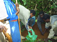 Extraction of ore from pit.