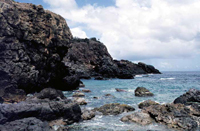 Figure 3. Gray stone outcrops on Water Island.