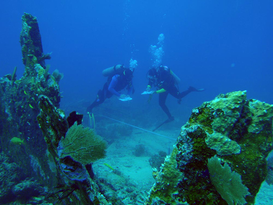 NOAA photograph