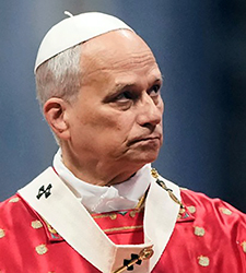 Pope Leo XIV image