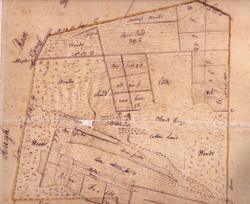 1808 survey, article image