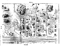 Seneca Village in 1856 as interpreted and illustrated in a Topographical Survey for the Grounds of Central Park by Egbert Viele