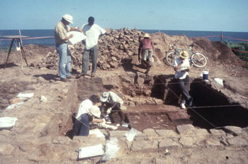 Elmina field school