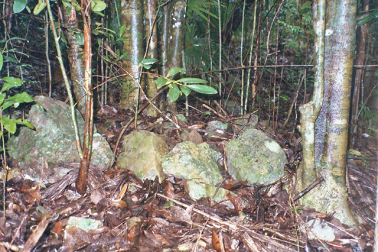 Blouet article image