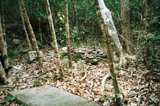 Blouet article image