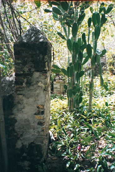 Blouet article image