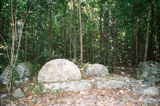 Blouet article image